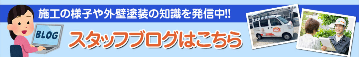 スタッフブログ